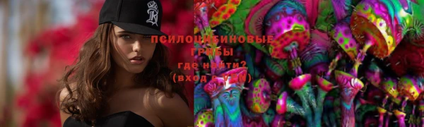 мдпв Покачи