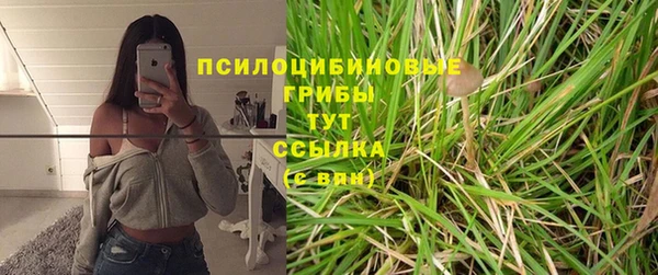 мдпв Покачи