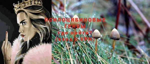 mdma Шадринск